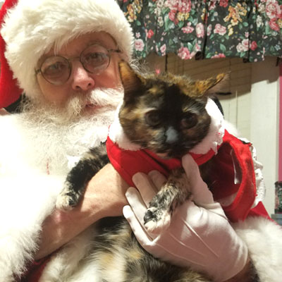 website template image