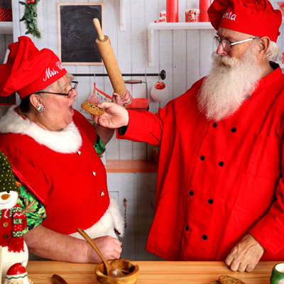 website template image